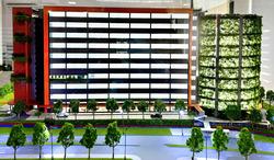 Tukang Innovation Drive (D22), Factory #573572991